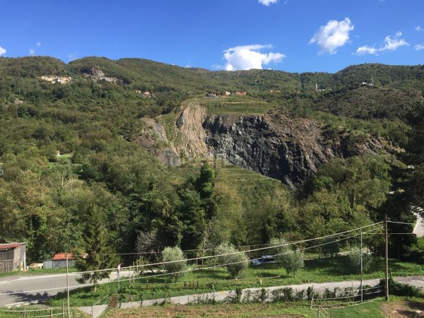 immagine annuncio 0 di 1