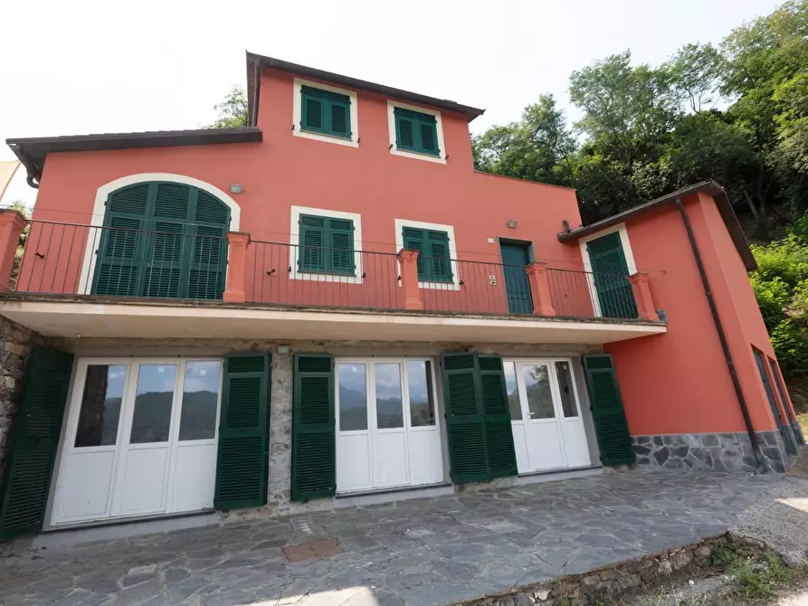 casa indipendente in vendita a Ne