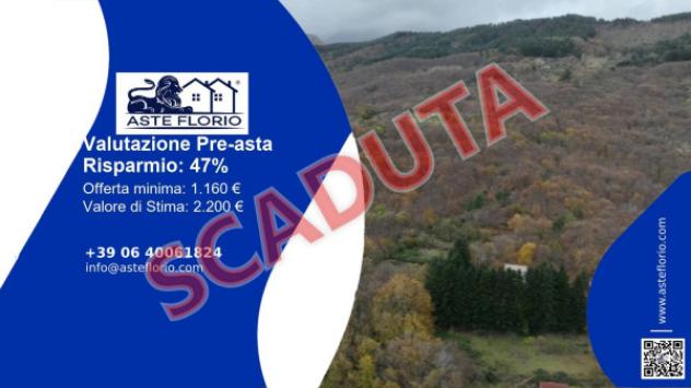 terreno agricolo in vendita a Ne