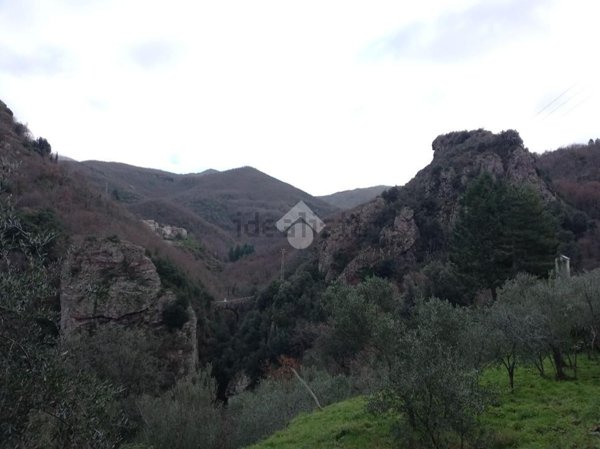 casa semindipendente in vendita a Ne