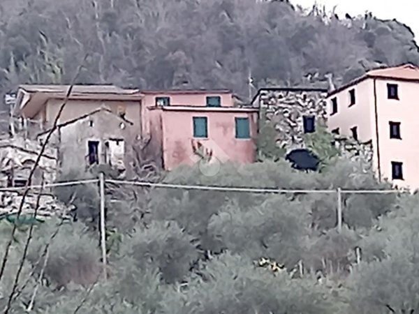 casa semindipendente in vendita a Ne
