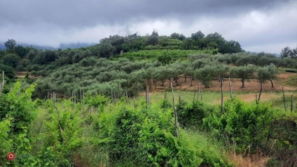 casa indipendente in vendita a Ne