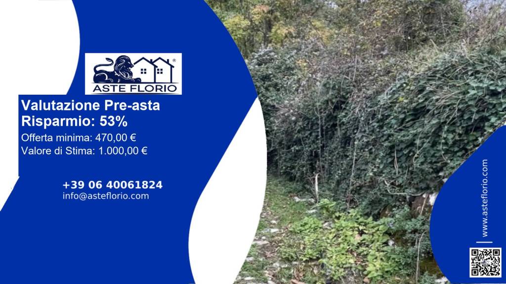 terreno agricolo in vendita a Ne