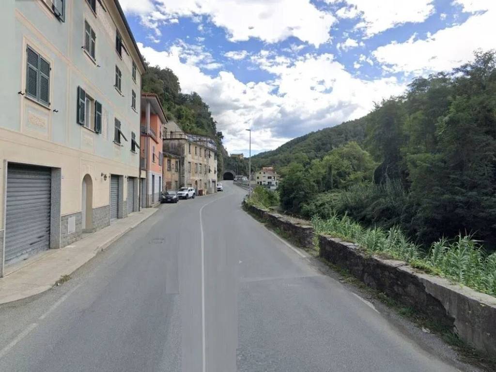 casa indipendente in vendita a Ne