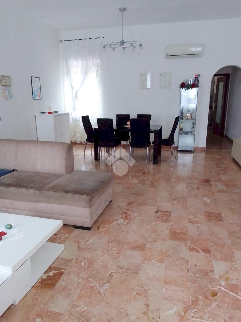 immagine annuncio 0 di 14