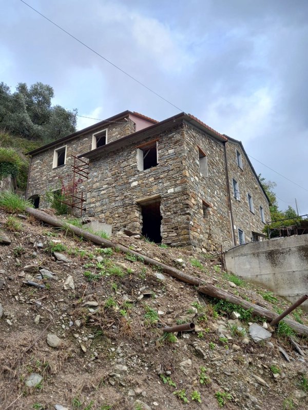 casa indipendente in vendita a Ne