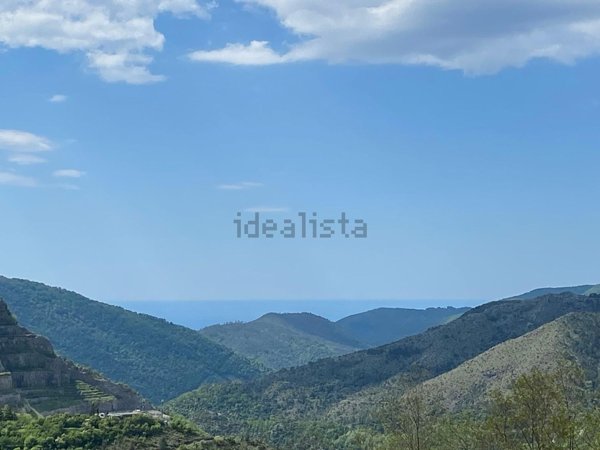 appartamento in vendita a Ne