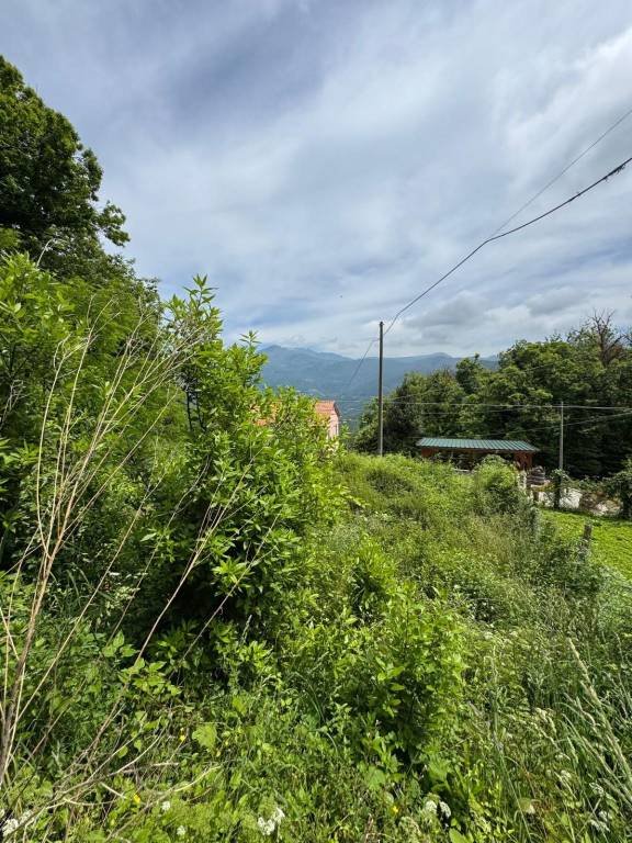 casale in vendita a Ne