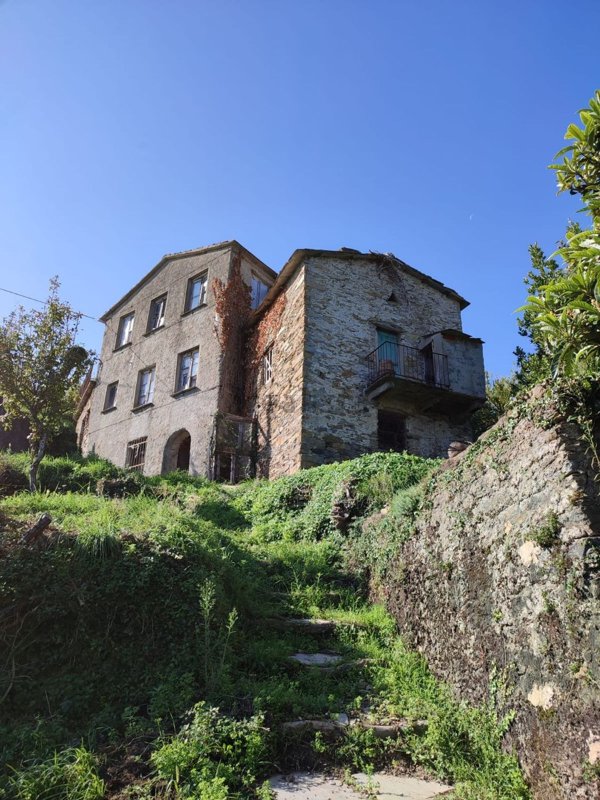 casa indipendente in vendita a Ne