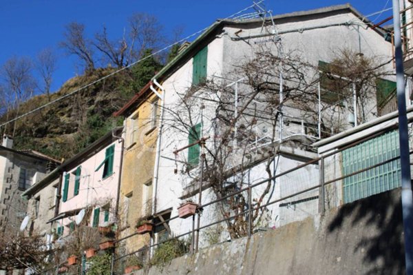casa indipendente in vendita a Neirone in zona Roccatagliata
