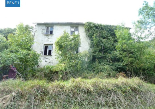 casa indipendente in vendita a Neirone