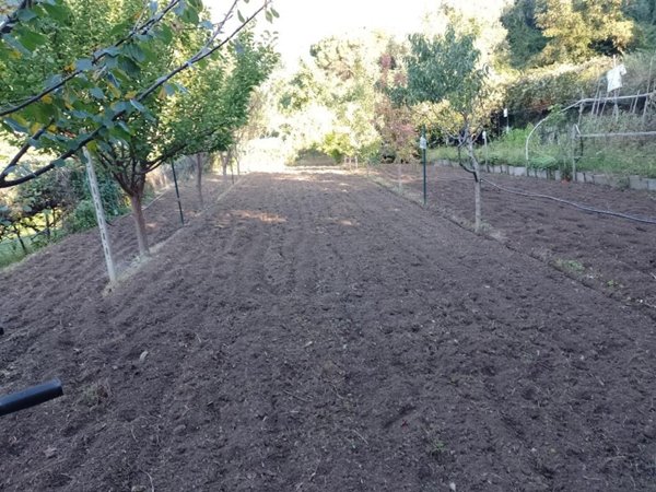 appartamento in vendita a Neirone