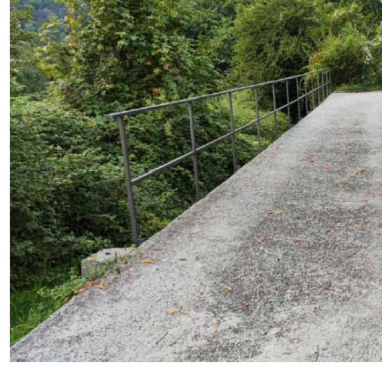 terreno agricolo in vendita a Neirone