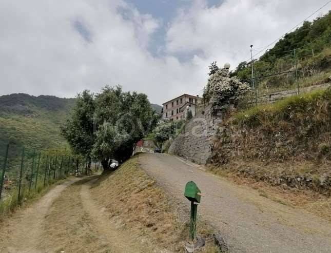 appartamento in vendita a Neirone