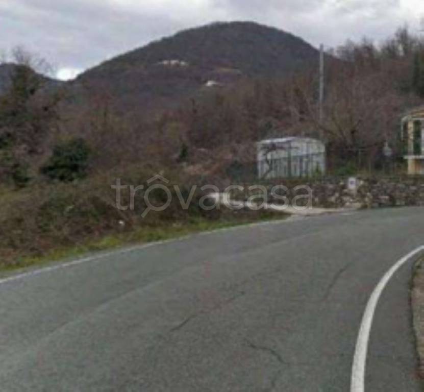 terreno agricolo in vendita a Neirone