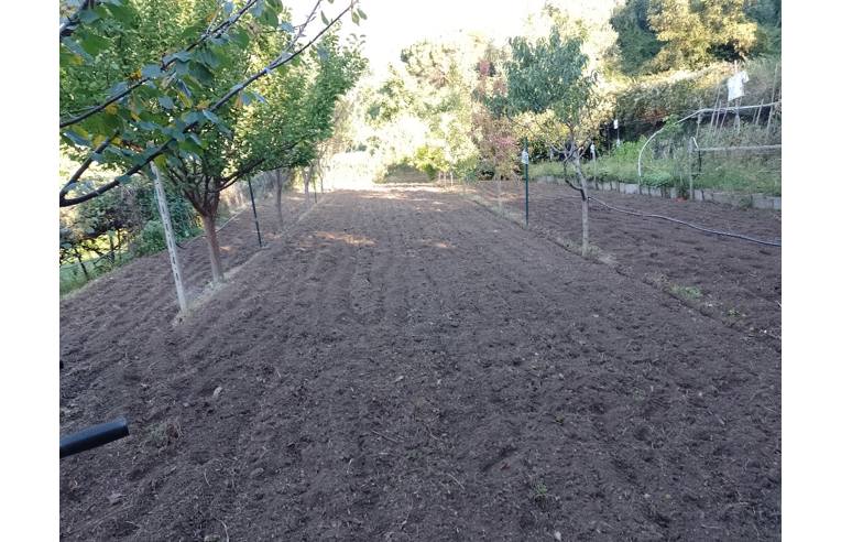 appartamento in vendita a Neirone