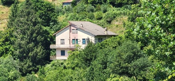 casa indipendente in vendita a Neirone