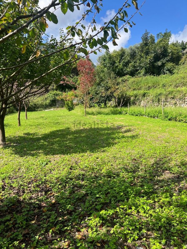 appartamento in vendita a Neirone