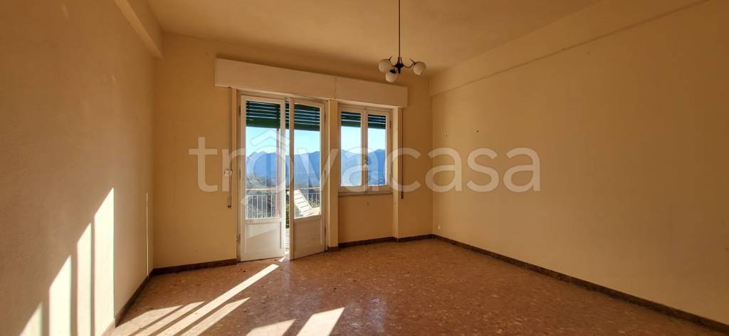 immagine annuncio 0 di 15