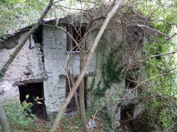 casa indipendente in vendita a Neirone