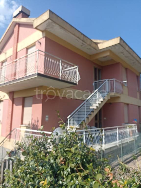 immagine annuncio 0 di 15