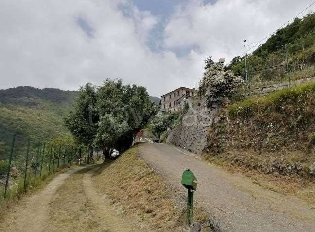 appartamento in vendita a Neirone