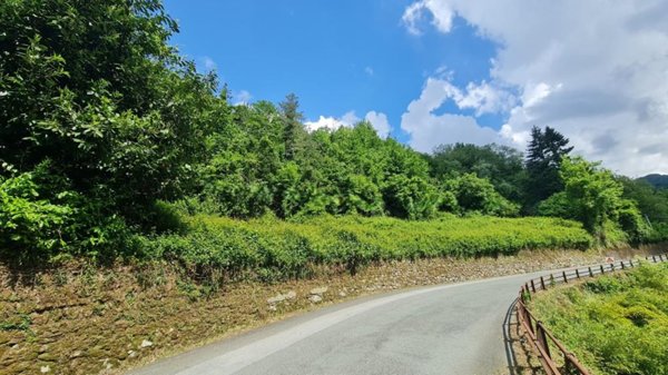 casa indipendente in vendita ad Orero in zona Isolona
