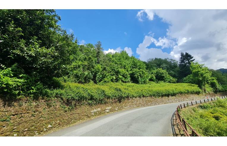 casa indipendente in vendita ad Orero in zona Isolona