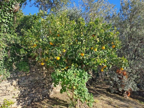 locale di sgombero in vendita a Pieve Ligure