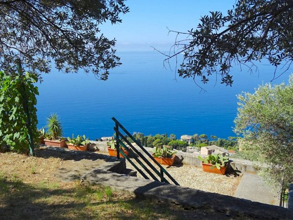 terreno agricolo in vendita a Pieve Ligure
