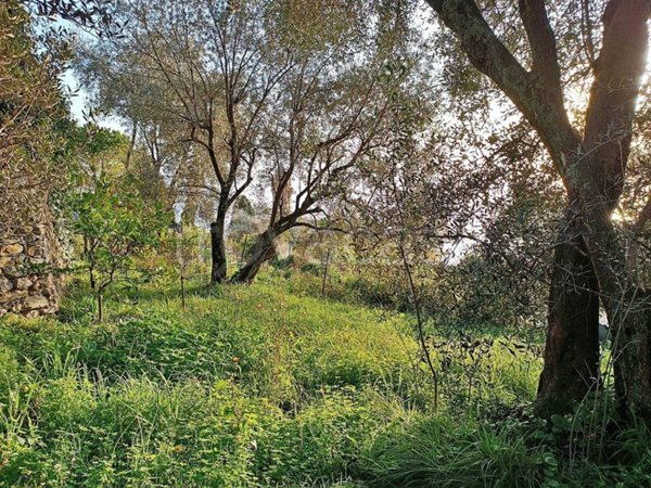 appartamento in vendita a Pieve Ligure