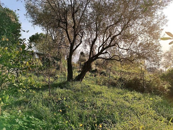 appartamento in vendita a Pieve Ligure