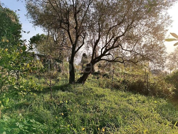 appartamento in vendita a Pieve Ligure