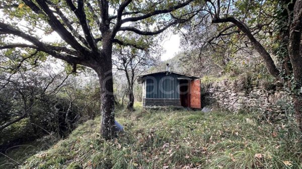 terreno agricolo in vendita a Pieve Ligure