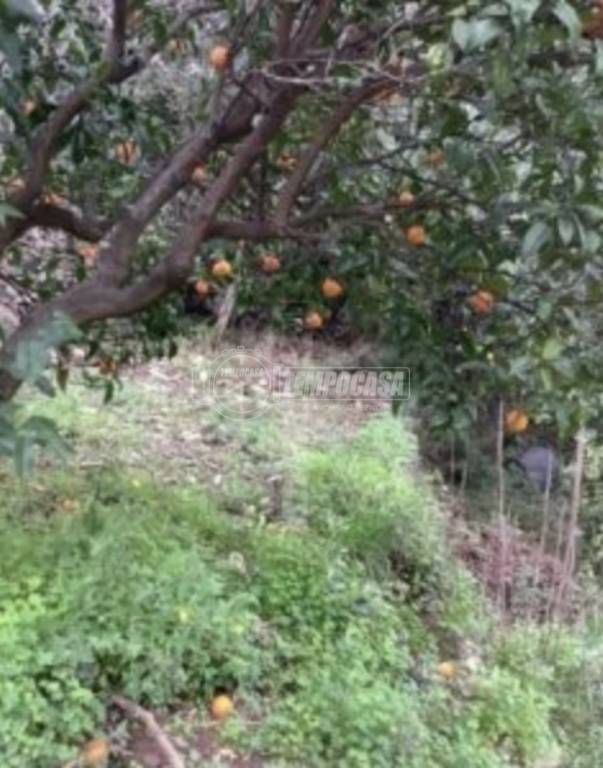 appartamento in vendita a Rapallo in zona San Martino di Noceto