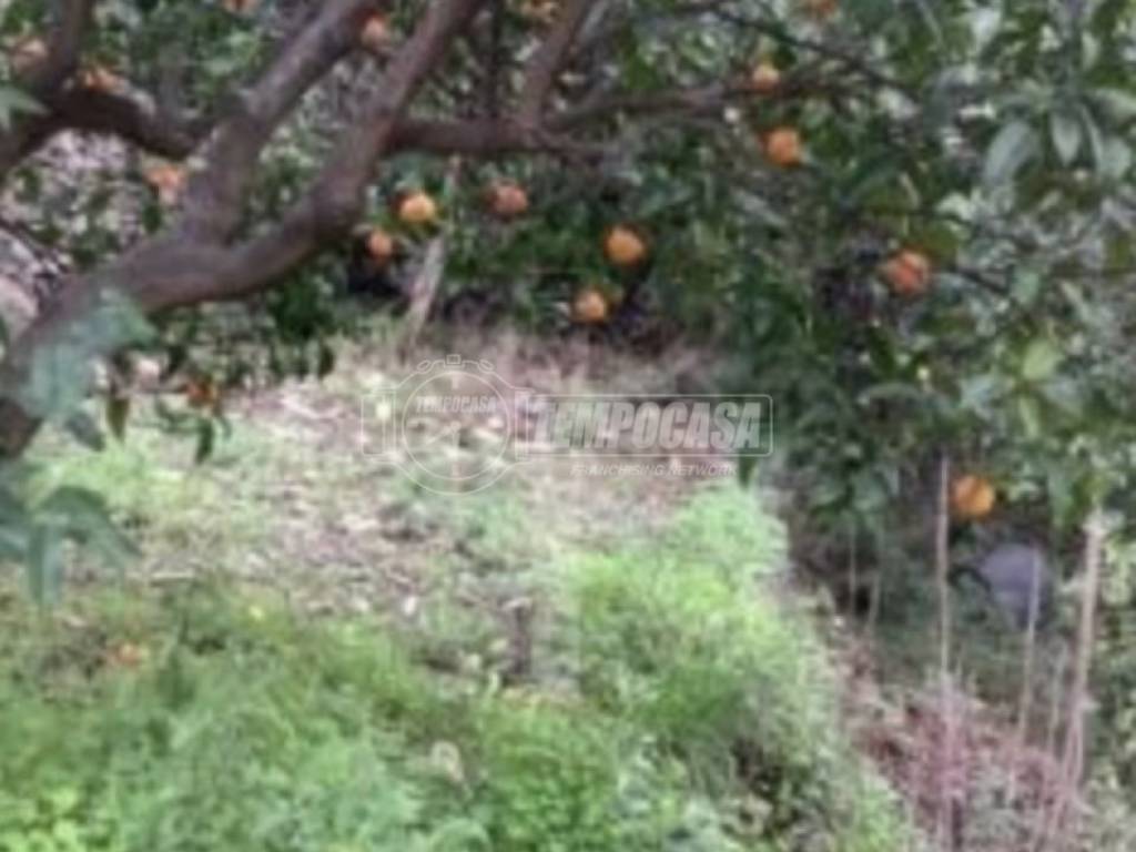 appartamento in vendita a Rapallo in zona San Martino di Noceto