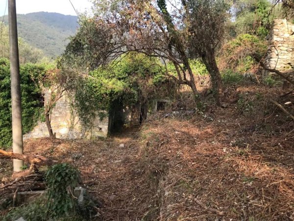 terreno agricolo in vendita a Rapallo in zona Sant'Andrea di Foggia