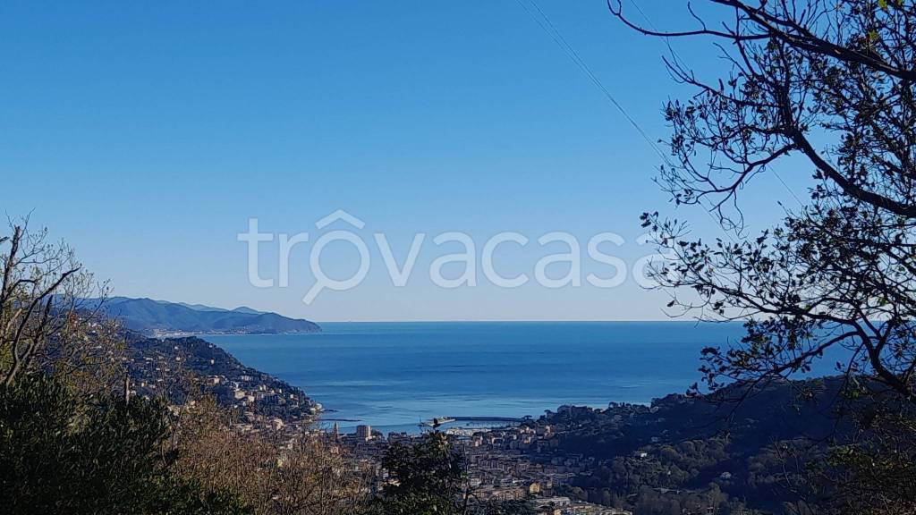 casa indipendente in vendita a Rapallo in zona Sant'Andrea di Foggia
