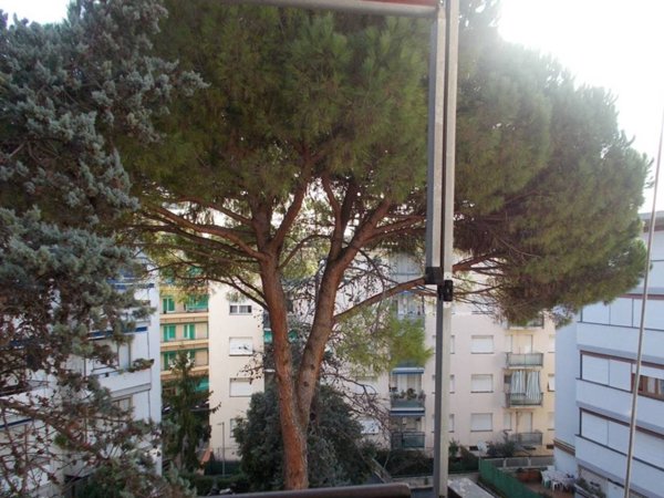 appartamento in vendita a Rapallo