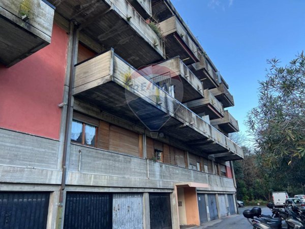 immagine annuncio 0 di 15