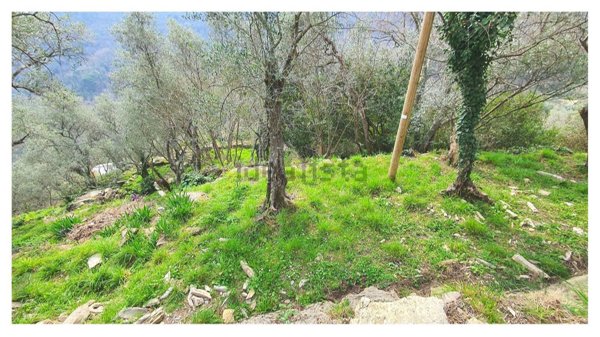 appartamento in vendita a Rapallo in zona San Martino di Noceto