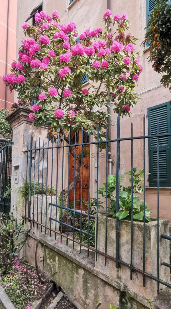 appartamento in vendita a Rapallo