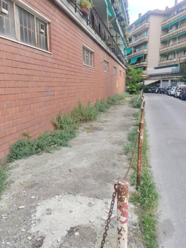 negozio in vendita a Rapallo