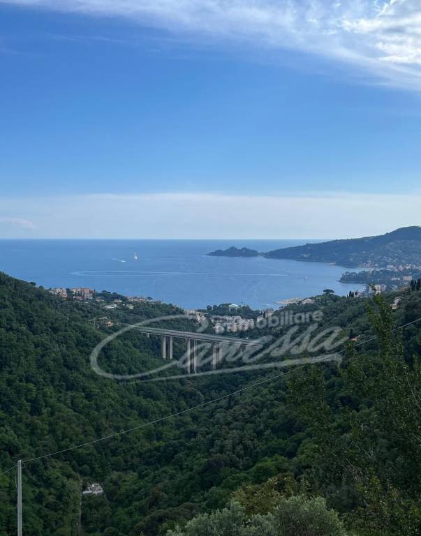 appartamento in vendita a Rapallo in zona Montallegro