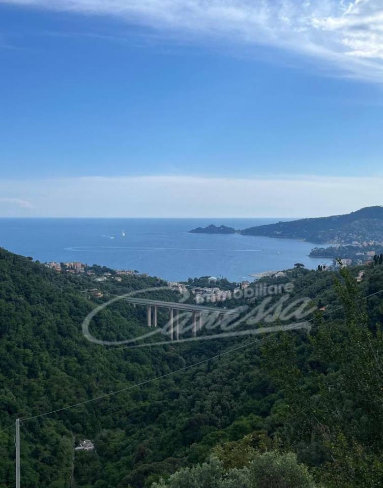 casale in vendita a Rapallo