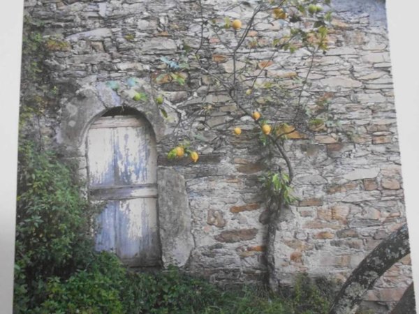 casa indipendente in vendita a Rapallo