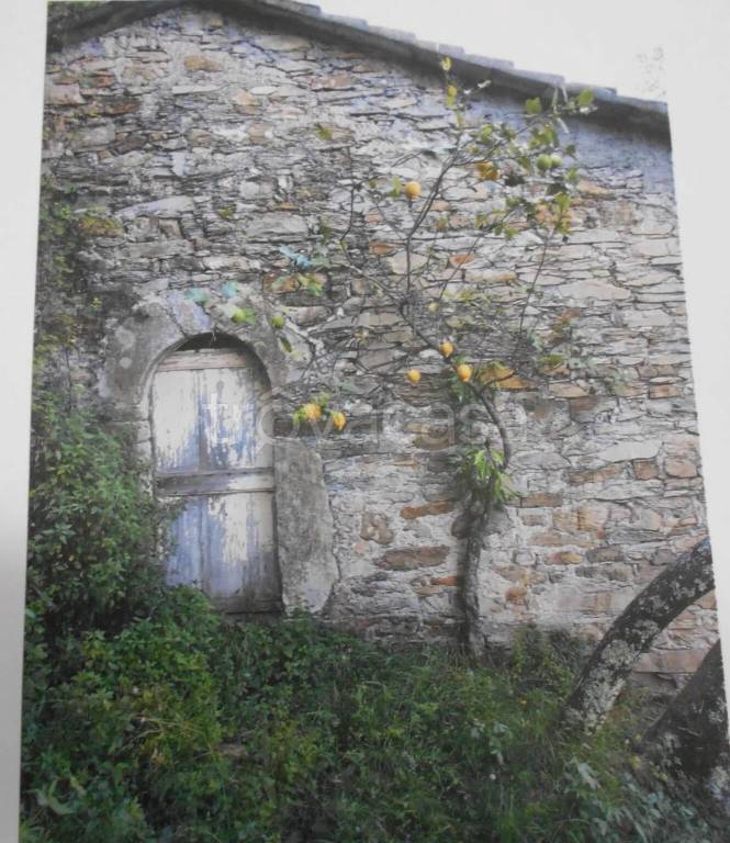 appartamento in vendita a Rapallo in zona Montallegro