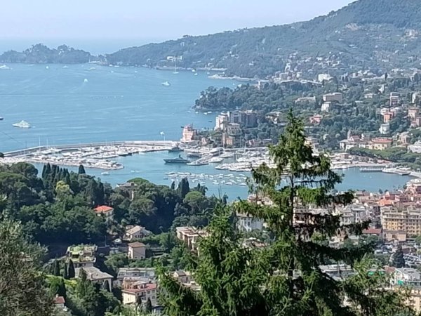 casa indipendente in vendita a Rapallo