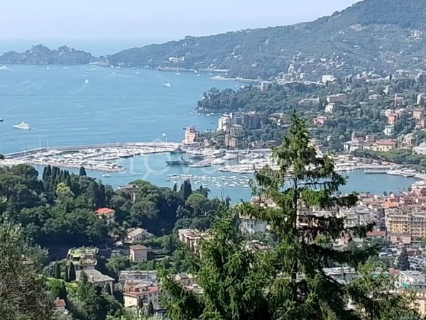 casa indipendente in vendita a Rapallo in zona Montallegro