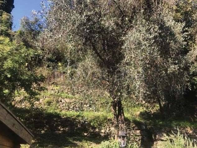 casa indipendente in vendita a Rapallo in zona Sant'Andrea di Foggia